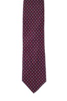 עניבה בהדפס סנאי - בורדו