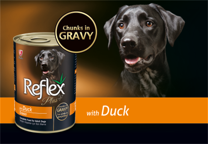 שימורים ריפלקס פלוס נתחי ברווז