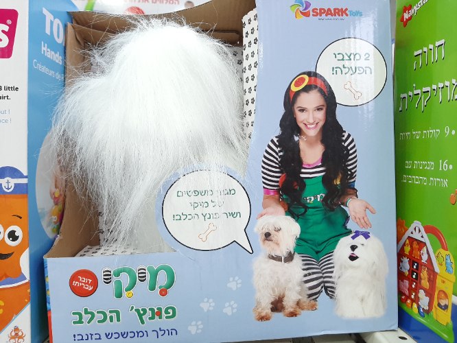 מיקי פונץ הכלב