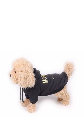 moschino dog jacket
