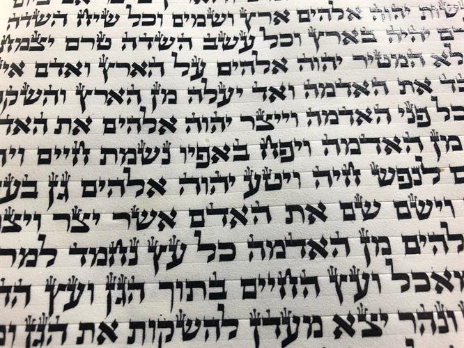 ספר תורה ספרדי מהודר