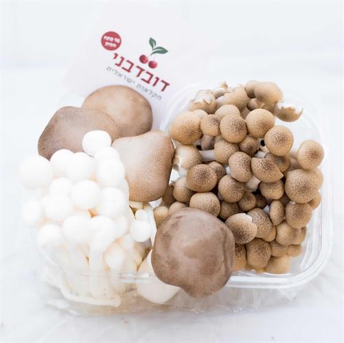 3 מארזי פטריות גורמה- חוות תקוע