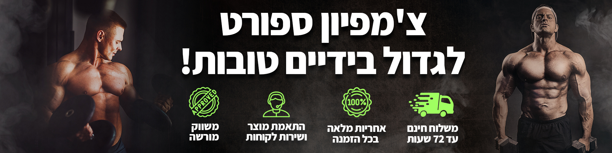 חטיף חלבון allin-כשר - CHAMPION SPORT