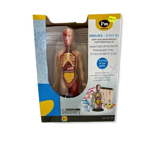 ערכת גוף האדם