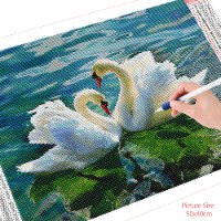 תמונת אבני שיבוץ - שני ברבורים 40X50