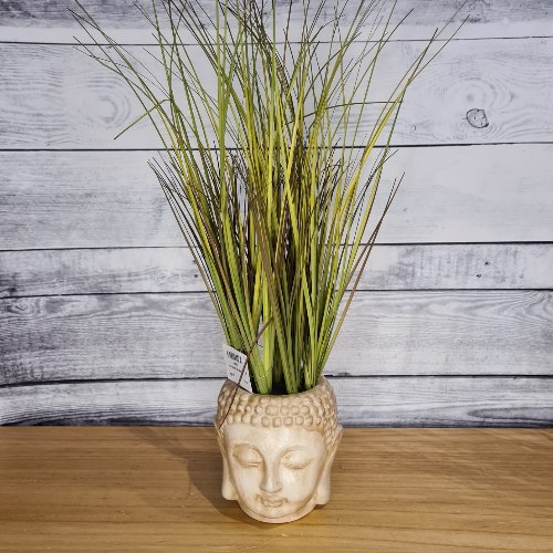 עציץ פנים בז' למון גראס