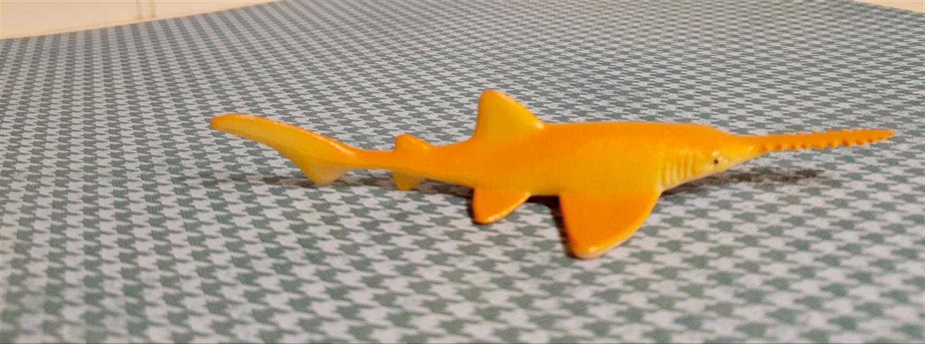 דג חרב צהוב