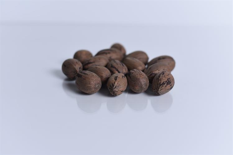 אגוזי פקאן בקליפה