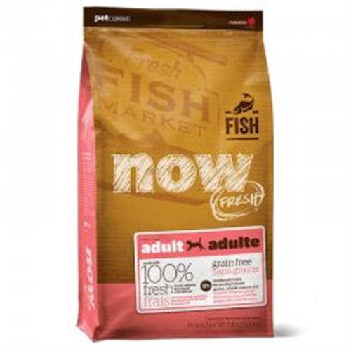 NOW סלמון גזע קטן