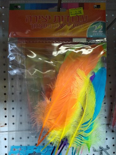 נוצות 22 יחידות