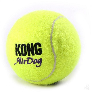 כדור קונג טניס מצפצף