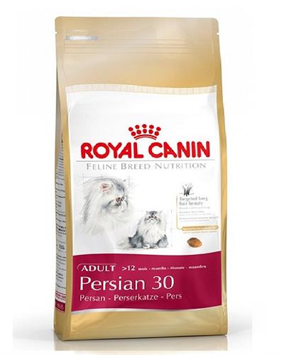 רואיל קנין פרסי 4 ק"ג