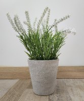 עציץ נוי - דגם לבן עם פרחים לבנים - דוגמא