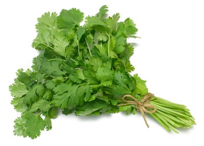 כוסברה 100 גרם