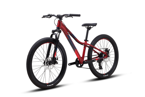 polygon relic 24 mountain bike junior