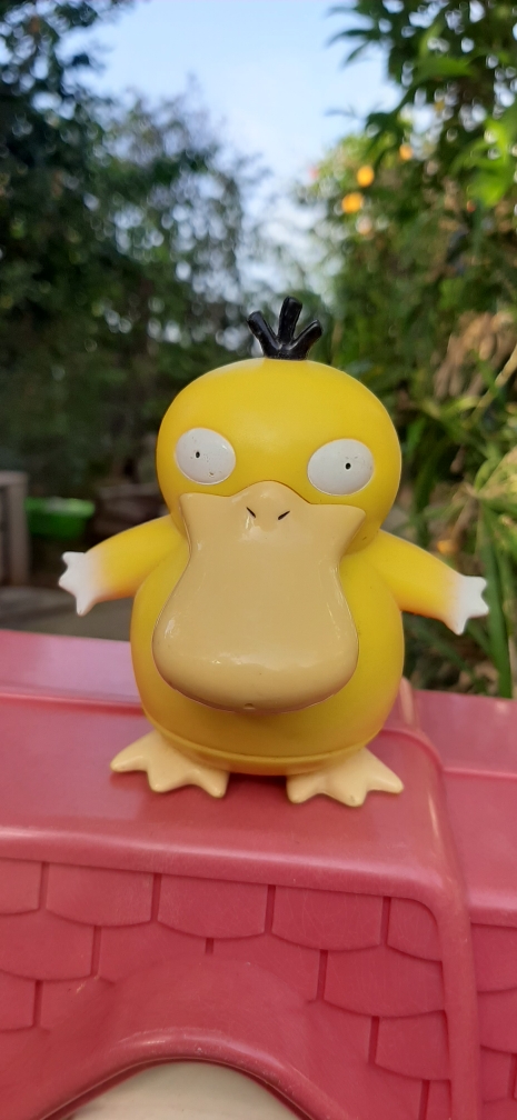 פוקימון, פסיידאק ברווז הפוקימטן עם מנגנון הפעלה (לא בדקתי), חתום נינטנדו, 98