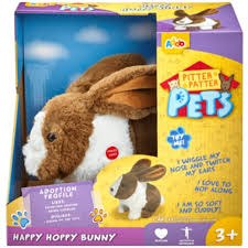 חיית המחמד שלי- ארנב