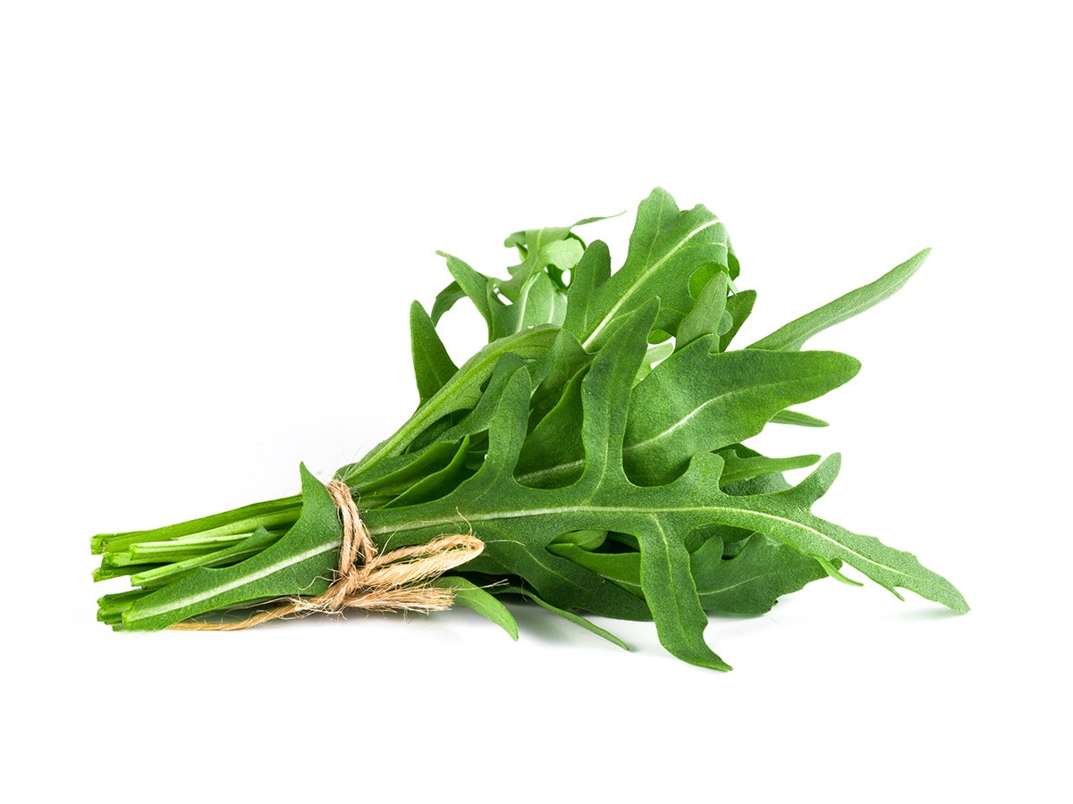 רוקולה 100 גרם איכות ייצוא מהבקעה