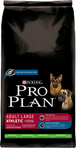 פרופלאן בוגר גזע גדול כבש 14 ק"ג