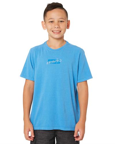 HURLEY BOYS HVY ENJOY SS