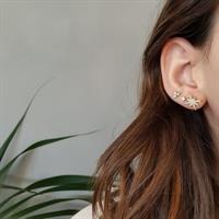 עגילי כוכב זהב וזרקונים צמוד לאוזן