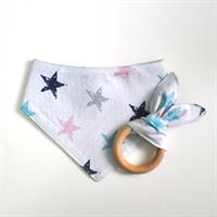 נשכן ארנב כוכבים