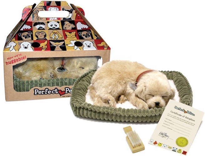 החיה המושלמת