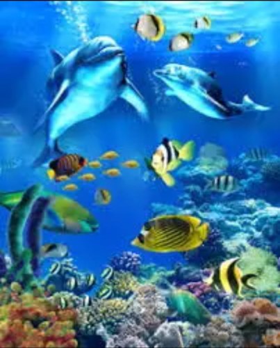 צביעה לפי מספרים - דגים בריף RGDZ911