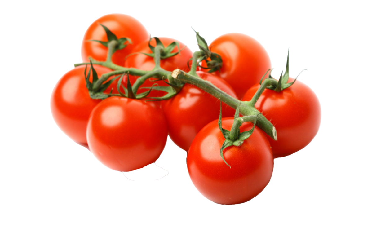 עגבניה שרי