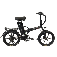 אופניים חשמליים Active Magnesium 48V 13AH