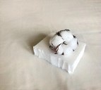 סבון כביסה טבעי