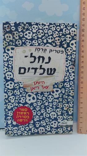ספר, נחל שלדים, היומן של ריאן