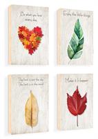 תמונות השראה עלים בשלכת