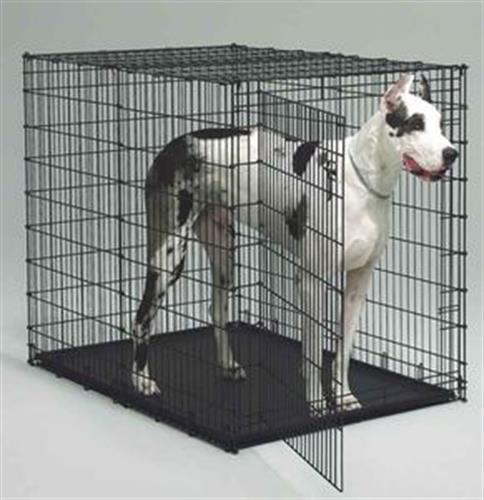 כלוב רשת לאילוף וחינוך כלבים 122 ס"מ