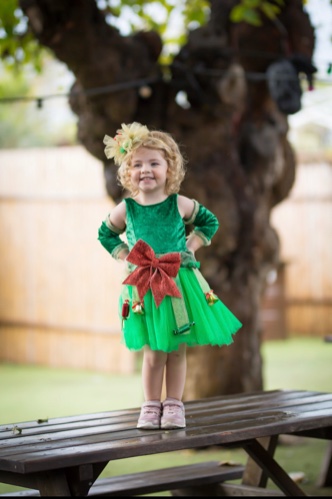 תחפושת חג המולד