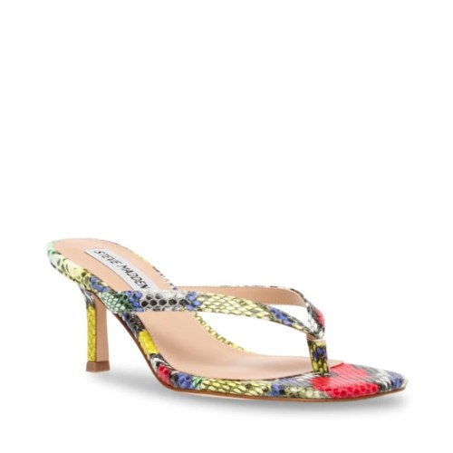 עקב MELROSE מנוחש צבעוני