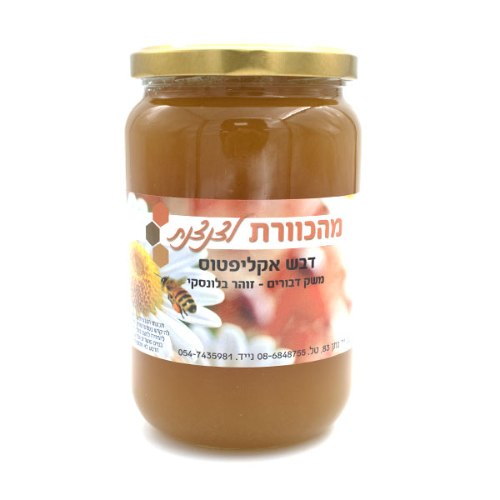 דבש אקליפטוס טבעי 0.5 ק"ג