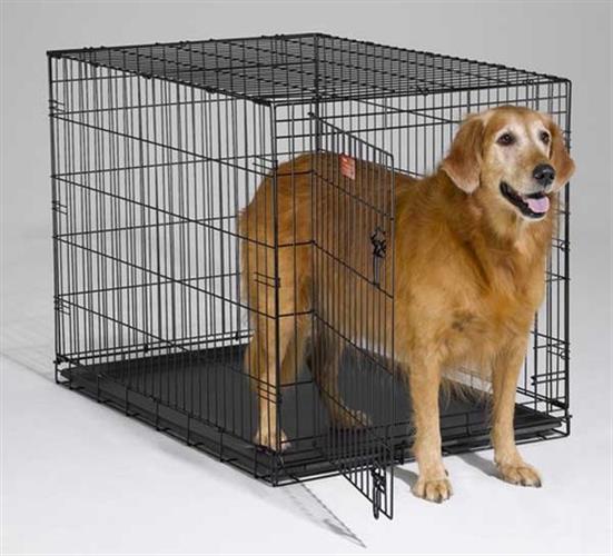כלוב רשת לאילוף וחינוך כלבים 91 סמ