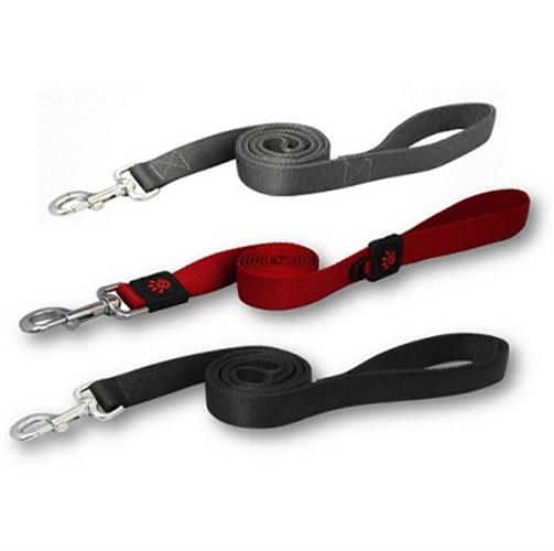 רצועת הולכה צבעונית לכלב בינוני