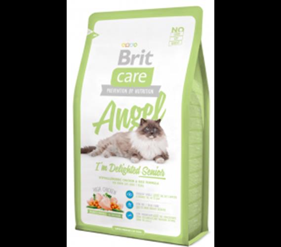 בריט קר חתולים מבוגרים