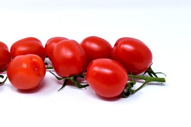 עגבניות תמר אורגני