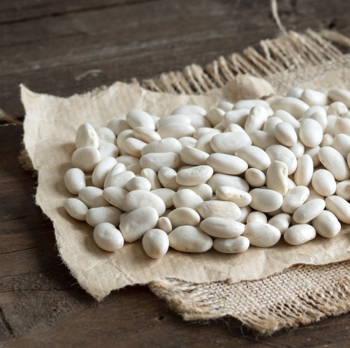 שעועית לבנה ארגנטינאית