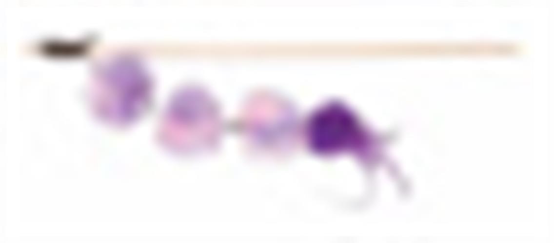 משחק מוט עם כדורי פומפום