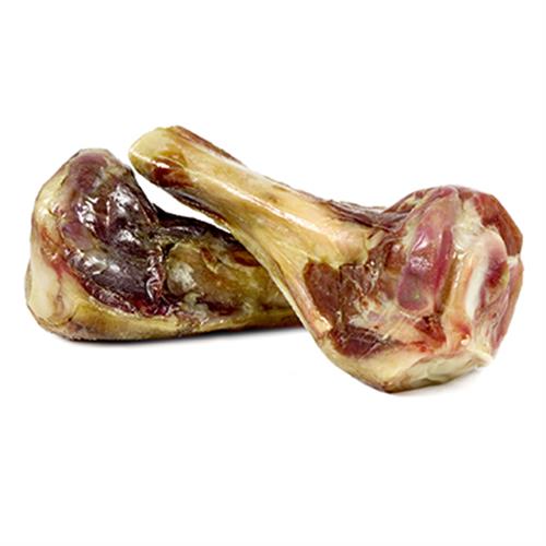 עצם פורקי עסיסית 2 חצאים