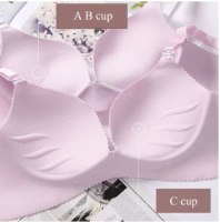 חזיית פוש אפ - ללא ברזלים