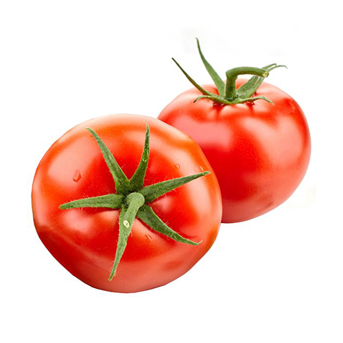 עגבניה מגי מארז