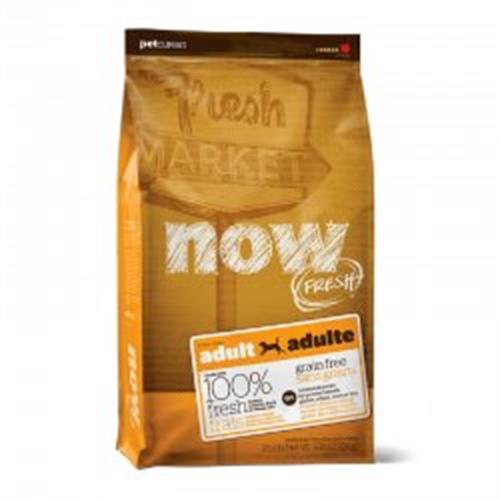 NOW עוף גזע קטן