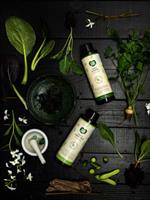 Ecolove  שמפו לכל סוגי השיער מתמציות אורגניות מלפפון פטרוזיליה ותרד 500 מ"ל