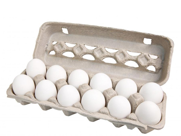 תבנית ביצים 12 יחידות מידה L