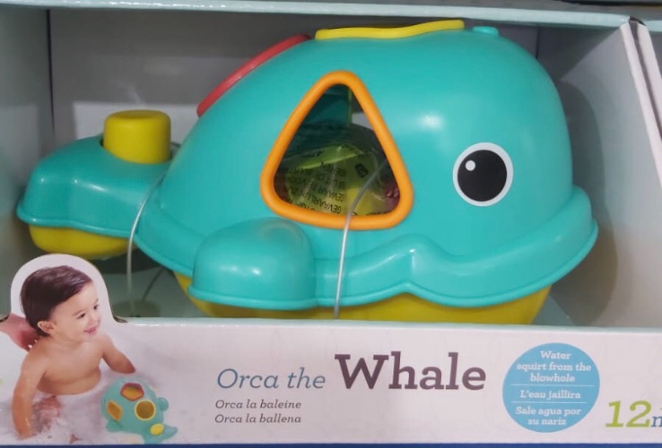 לווייתן התאם צורה